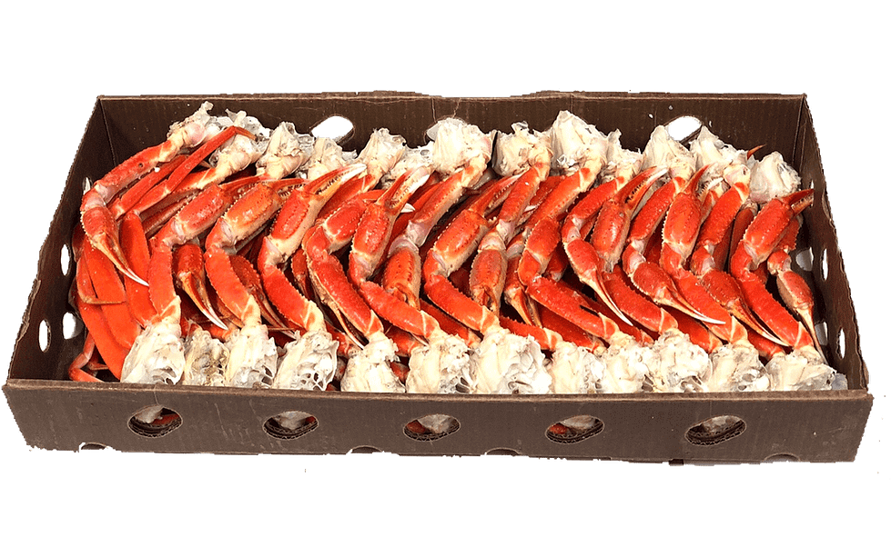 Snow crab Kildare Fisheries